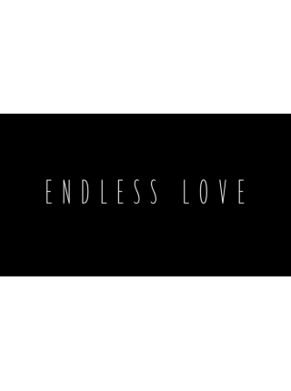 Endless Love (США)